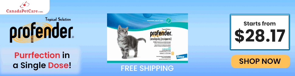 Say Goodbye to Fleas, Ticks & Heartworm with Simparica Trio